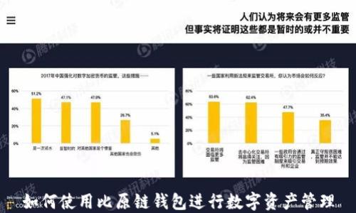 
如何使用比原链钱包进行数字资产管理