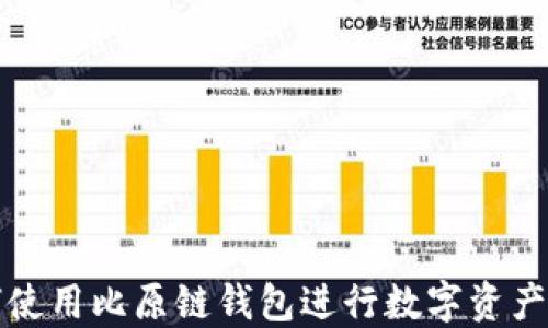
如何使用比原链钱包进行数字资产管理