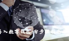 如何将私钥导入数字钱包：分步骤指南与常见问