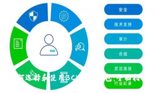 如何选择和使用BCH手机钱包：全面指南