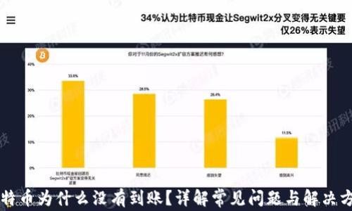 
比特币为什么没有到账？详解常见问题与解决方法