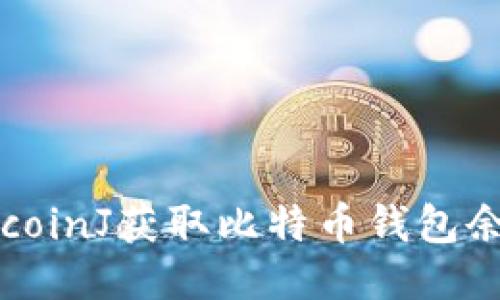 如何使用BitcoinJ获取比特币钱包余额：详细指南