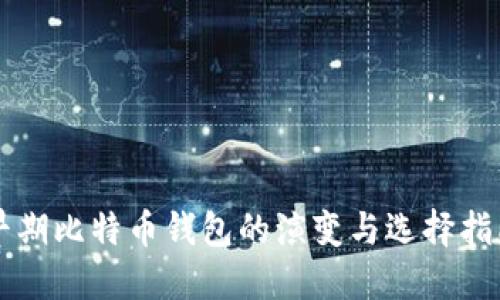 早期比特币钱包的演变与选择指南