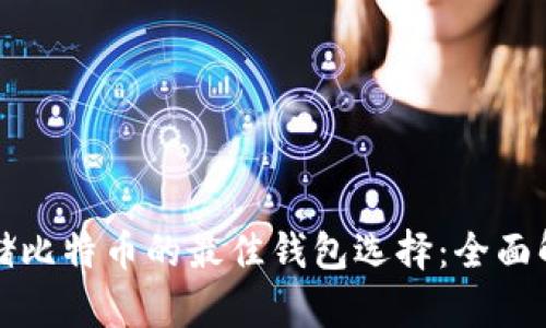 存储比特币的最佳钱包选择：全面解析