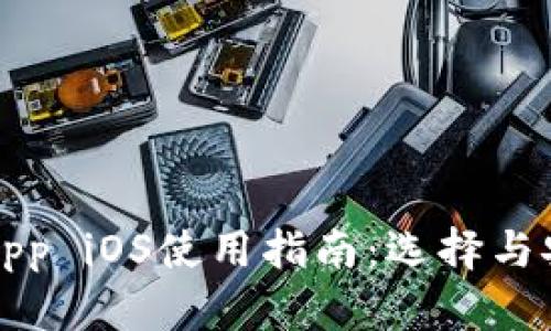 数字钱包App iOS使用指南：选择与安全性分析