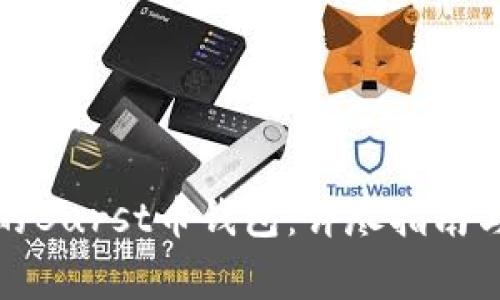 如何选择合适的Burst币钱包：详尽指南与常见问题解答