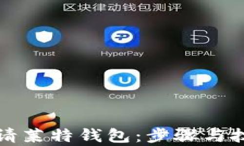 
如何申请莱特钱包：步骤与技巧详解