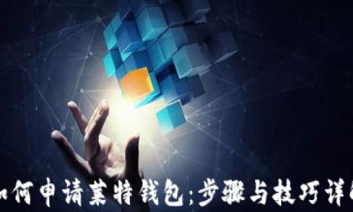 
如何申请莱特钱包：步骤与技巧详解