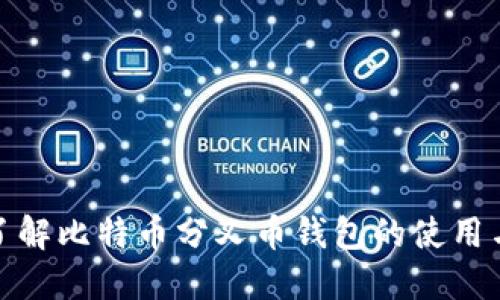 全面了解比特币分叉币钱包的使用与选择
