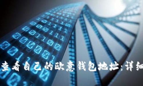 如何查看自己的欧意钱包地址：详细指南