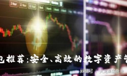 瑞波币轻钱包推荐：安全、高效的数字资产管理解决方案