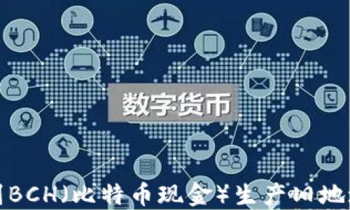 
如何找到BCH（比特币现金）生产旧地址的钱包