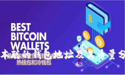 中本聪的钱包地址及其币量分析