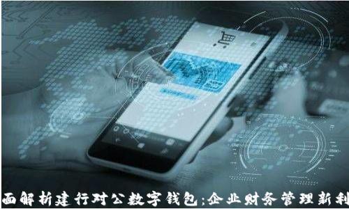 
全面解析建行对公数字钱包：企业财务管理新利器