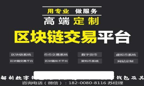 全面解析数字钱包：当今最受欢迎的数字钱包及其功能