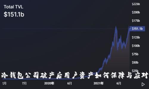 冷钱包公司破产后用户资产如何保障与应对