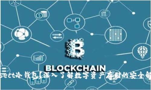 什么是sect冷钱包？深入了解数字资产存储的安全解决方案