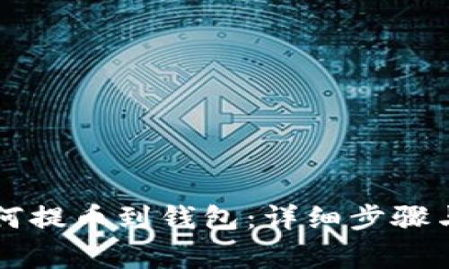 公信宝如何提币到钱包：详细步骤与注意事项
