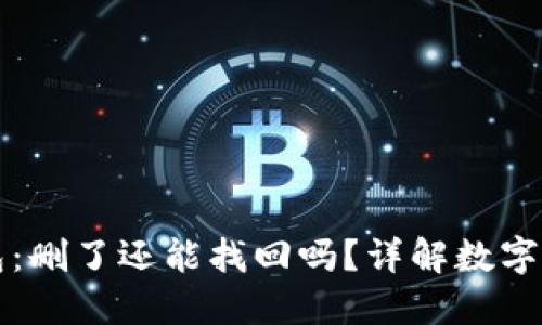 热钱包与冷钱包：删了还能找回吗？详解数字货币安全与管理