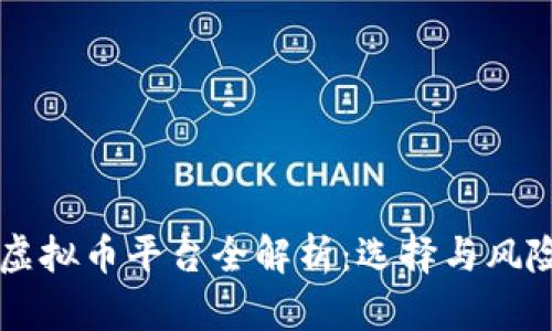 国内虚拟币平台全解析：选择与风险指南