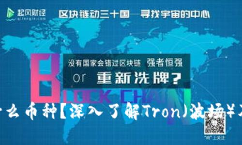 TRX是什么币种？深入了解Tron（波场）及其应用