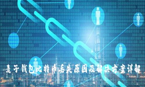 麦子钱包比特币丢失原因及解决方案详解