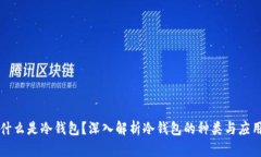 什么是冷钱包？深入解析冷钱包的种类与应用