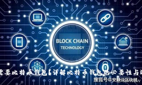 为什么需要比特币钱包?详解比特币钱包的必要性与选择指南
