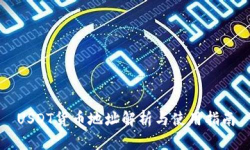 USDT货币地址解析与使用指南