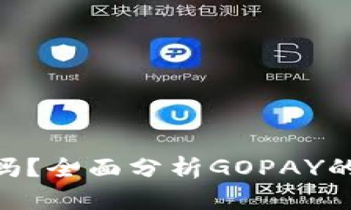 GOPAY钱包安全吗？全面分析GOPAY的安全机制与风险