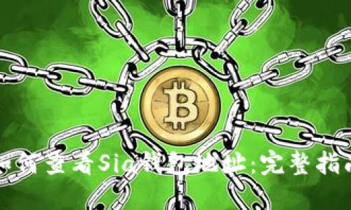 如何查看Sia钱包地址：完整指南