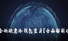 如何选择适合的欧意冷钱包蓝牙？全面解析功能