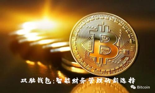 双脑钱包：智能财务管理的新选择