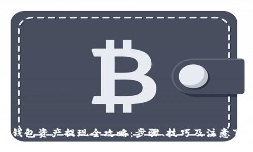冷钱包资产提现全攻略：步骤、技巧及注意事项