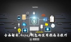 全面解析：Gopay钱包的使用指南与技巧