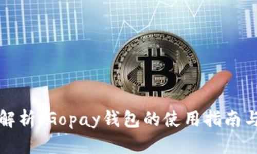 全面解析：Gopay钱包的使用指南与技巧