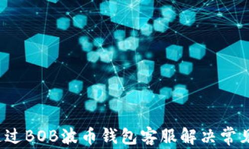 
如何通过BOB波币钱包客服解决常见问题？