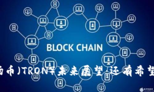 波场币（TRON）未来展望：还有希望吗？