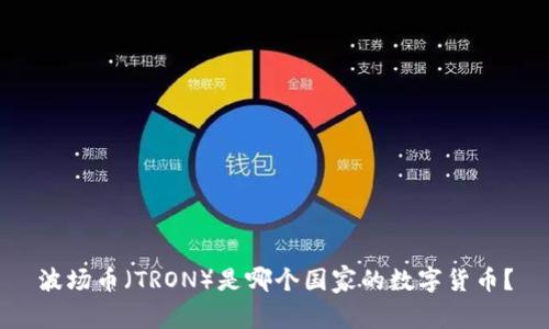 波场币（TRON）是哪个国家的数字货币？