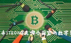 波场币（TRON）是哪个国家的数字货币？