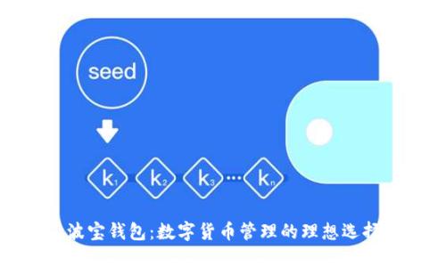 波宝钱包：数字货币管理的理想选择