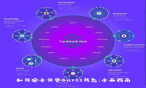 如何安全保管Burst钱包：全面指南