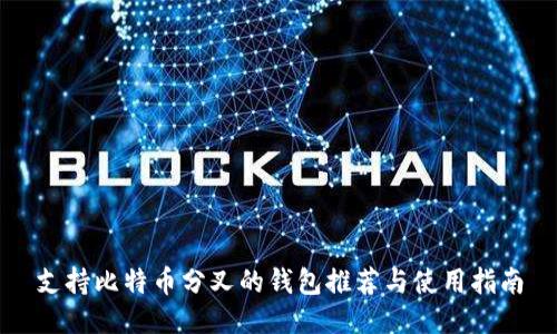 支持比特币分叉的钱包推荐与使用指南