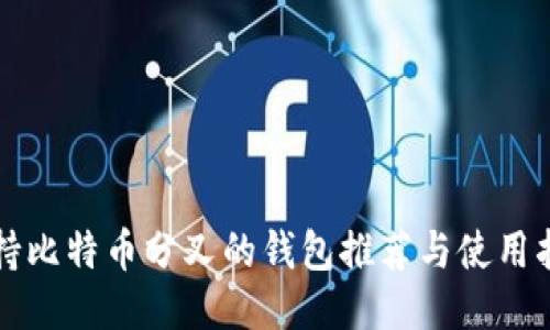 支持比特币分叉的钱包推荐与使用指南