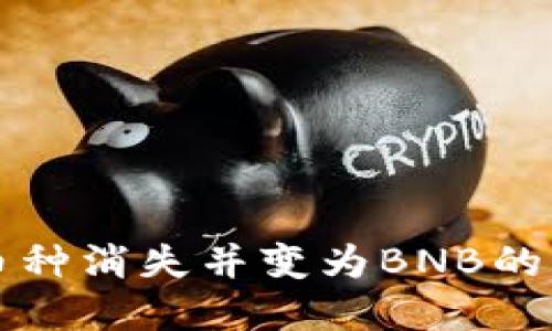 以太坊钱包中币种消失并变为BNB的原因及解决方案