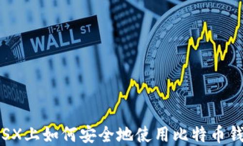 
在OSX上如何安全地使用比特币钱包？