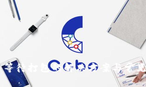 IM钱包币等待打包的解决方案与常见问题解析