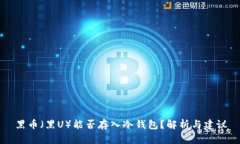 黑币（黑U）能否存入冷钱包？解析与建议