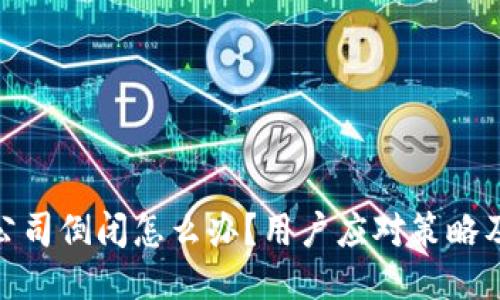 硬件钱包公司倒闭怎么办？用户应对策略及风险管理