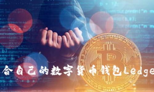 如何选择适合自己的数字货币钱包Ledger：全面指南